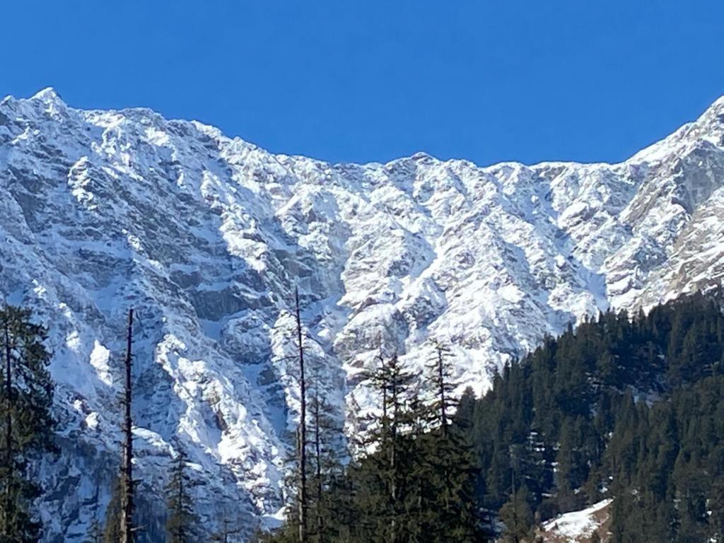 Solang Valley Resort Manāli Екстериор снимка