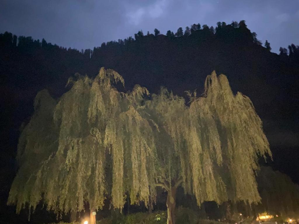 Solang Valley Resort Manāli Екстериор снимка